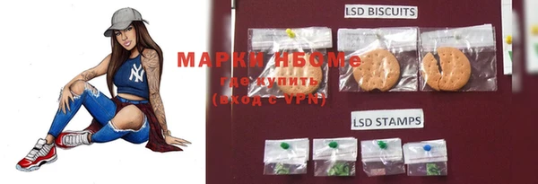 шишки Алзамай