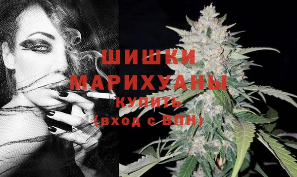 шишки Алзамай