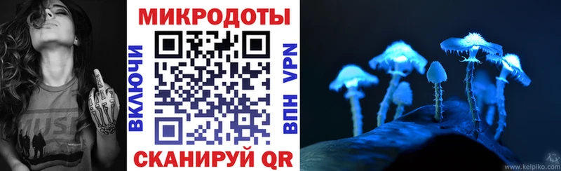 Галлюциногенные грибы Psilocybe  закладки  Новороссийск 